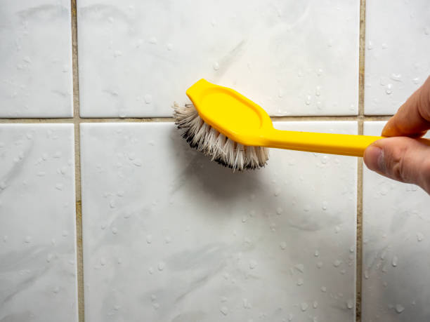 Best DIY Mold Remediation Support Services in Chevy Chase Village, MD