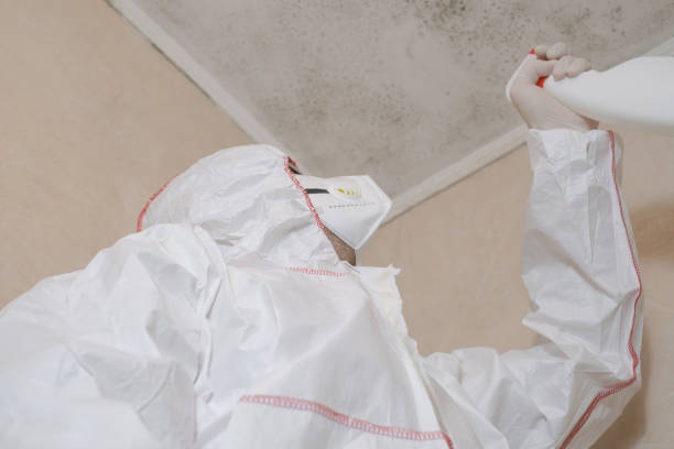 Best Industrial Mold Remediation in Chevy Chase Village, MD